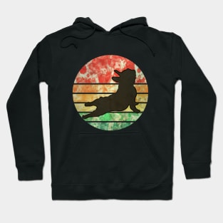 French bulldog yoga,watercolor sunset yoga frenchie silhouette Hoodie